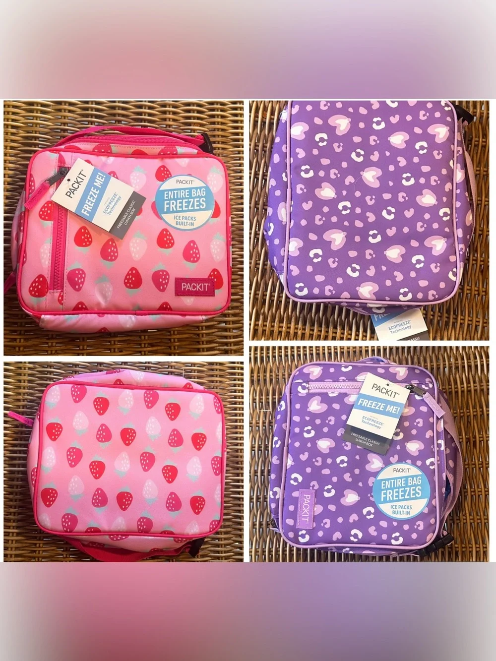 PackIt Freezable, Reusable Lunch Box built in ice packs